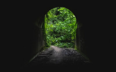 تأملات قرآنية